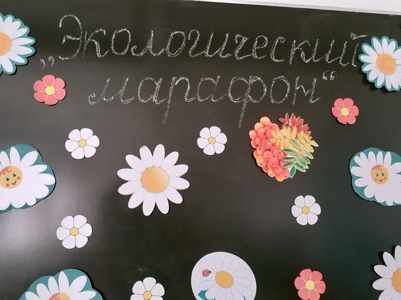 В рамках Всероссийского «Дня Эколят» в МБОУ &amp;quot;Рыбинская СОШ проведена экологическая игра «ЭКОмарафон».